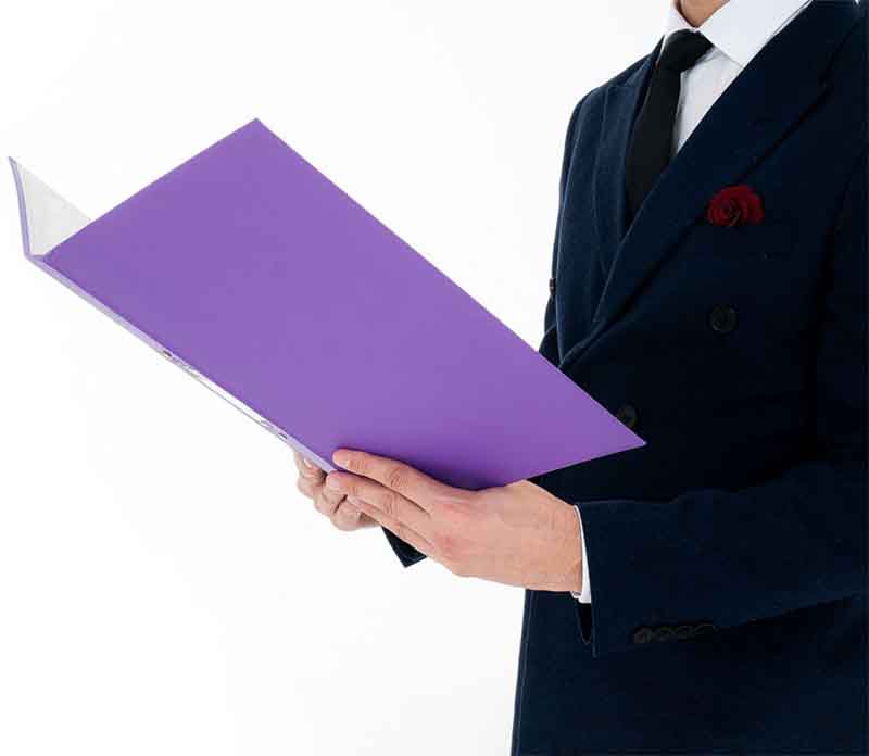 ejecutivo mirando un folder
